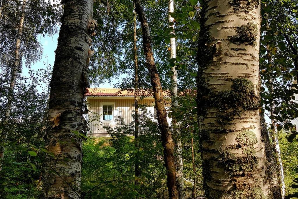 Nybyggd Stuga Intill Skogsbrynet - New Built Cottage Next To The Cowberry Forest ムーラ エクステリア 写真